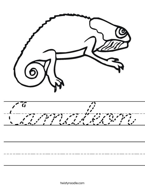 Bearded Dragon Worksheet