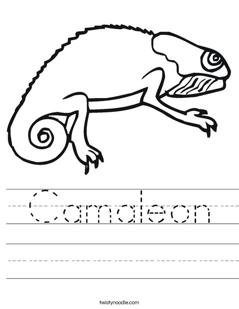 Bearded Dragon Worksheet