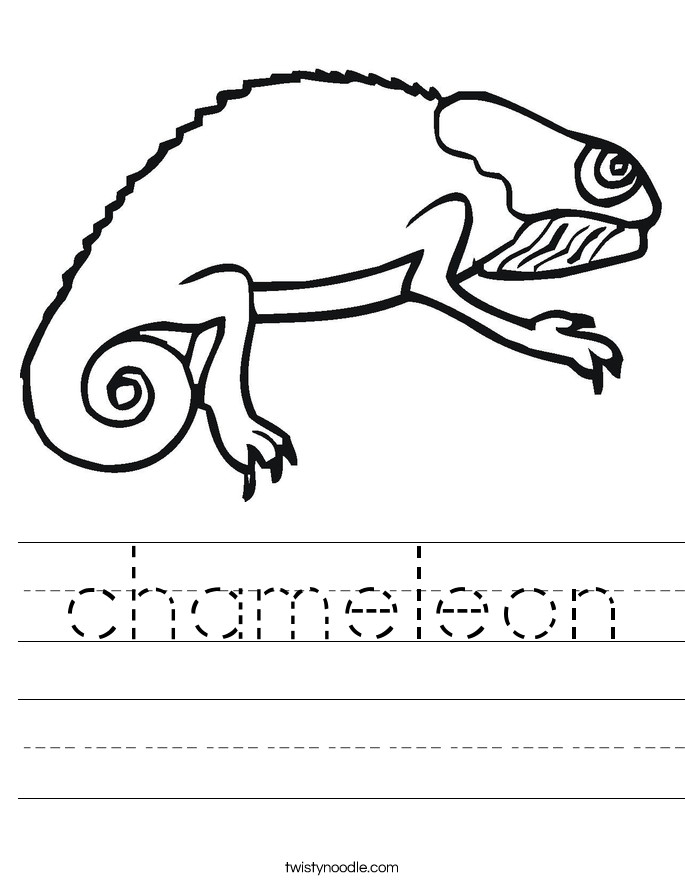 chameleon Worksheet - Twisty Noodle