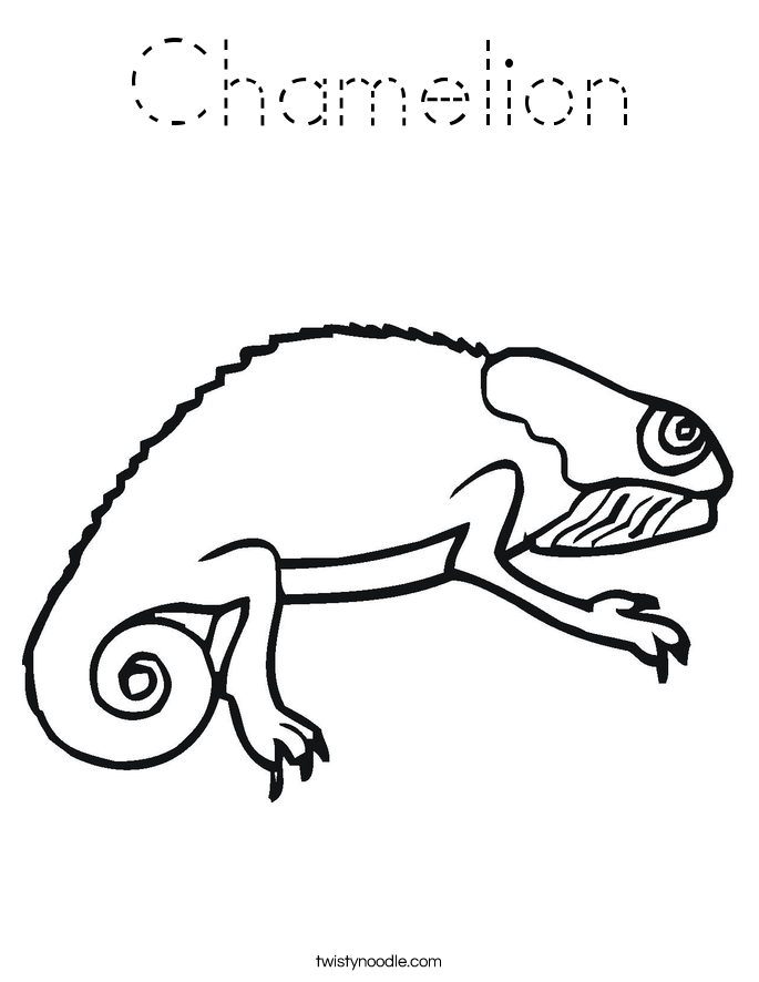 Chamelion Coloring Page