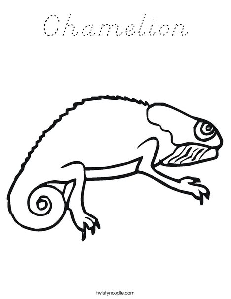 Bearded Dragon Coloring Page