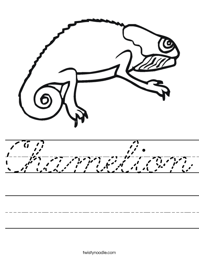 Chamelion Worksheet