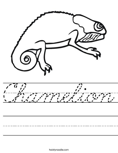 Bearded Dragon Worksheet