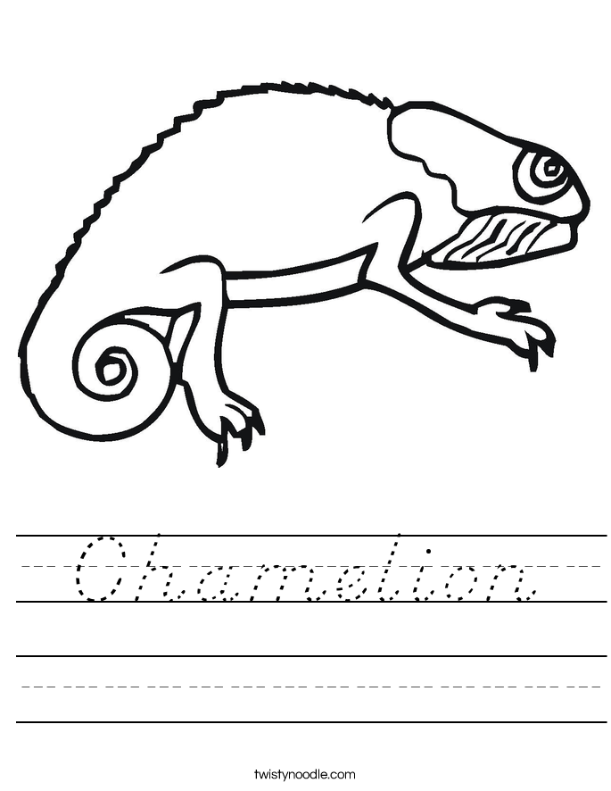 Chamelion Worksheet
