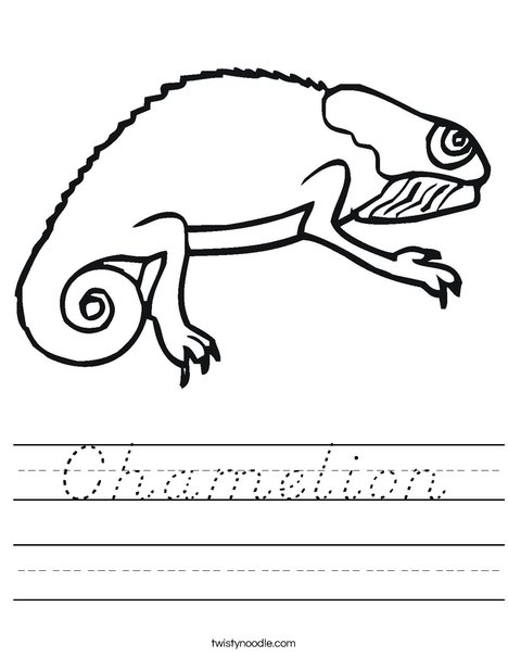 Bearded Dragon Worksheet