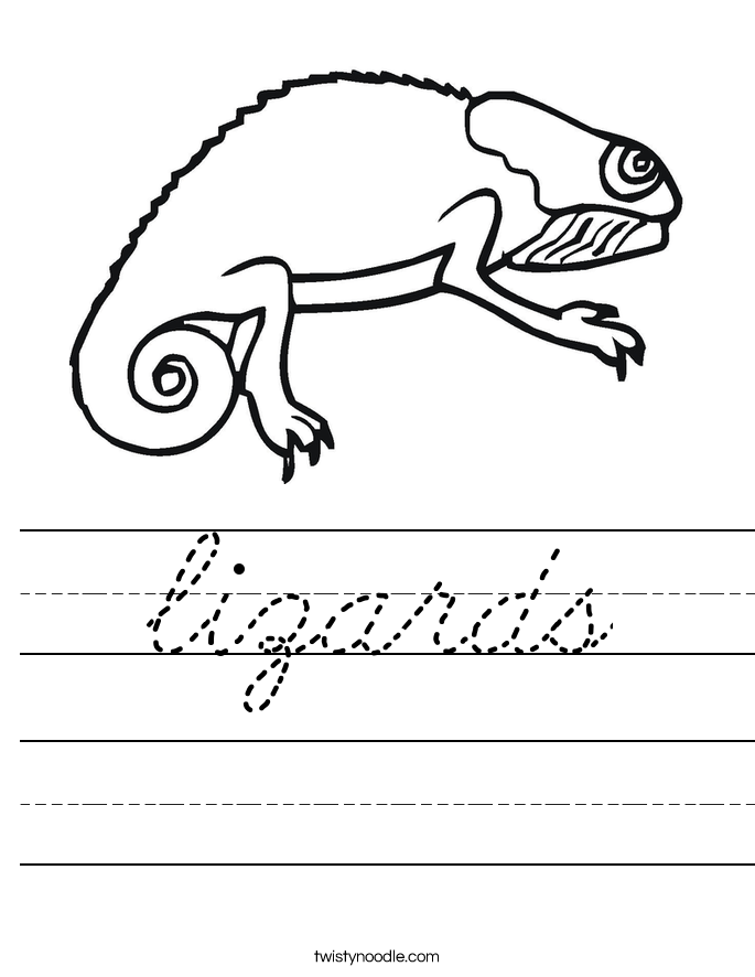 lizards Worksheet