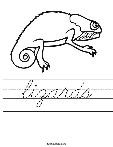 Bearded Dragon Worksheet