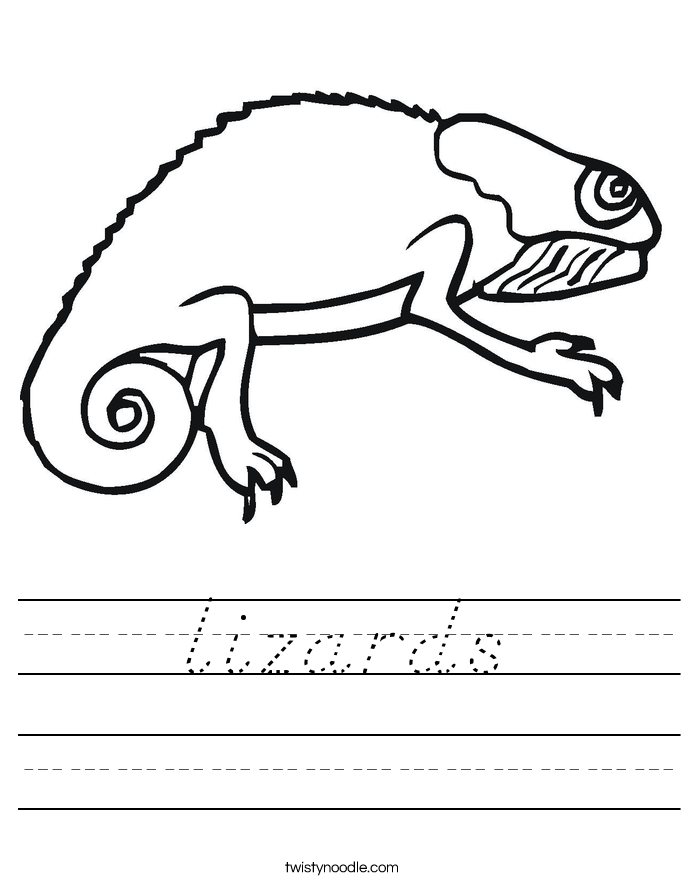lizards Worksheet