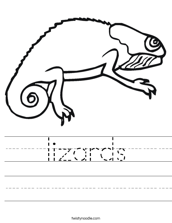 lizards Worksheet