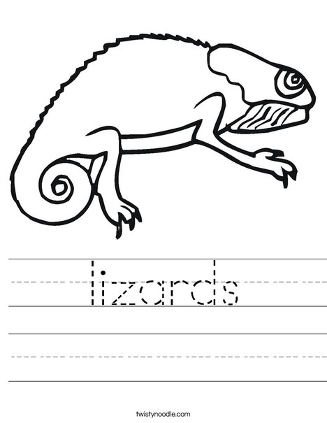 Bearded Dragon Worksheet