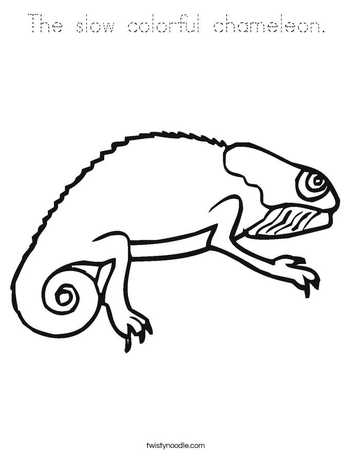 The slow colorful chameleon. Coloring Page