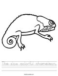 The slow colorful chameleon. Worksheet