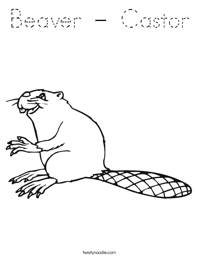 Beaver - Castor Coloring Page