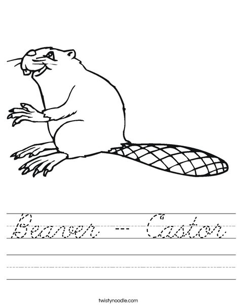 Beaver Worksheet