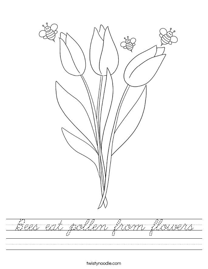 Bees eat pollen from flowers Worksheet
