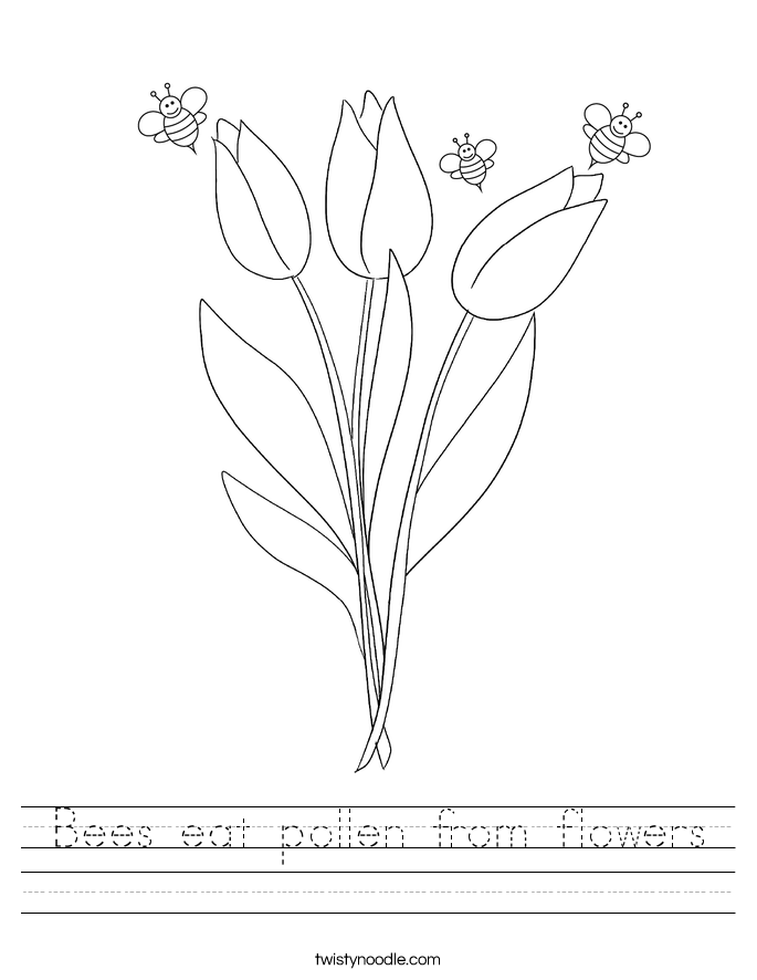 Bees eat pollen from flowers Worksheet