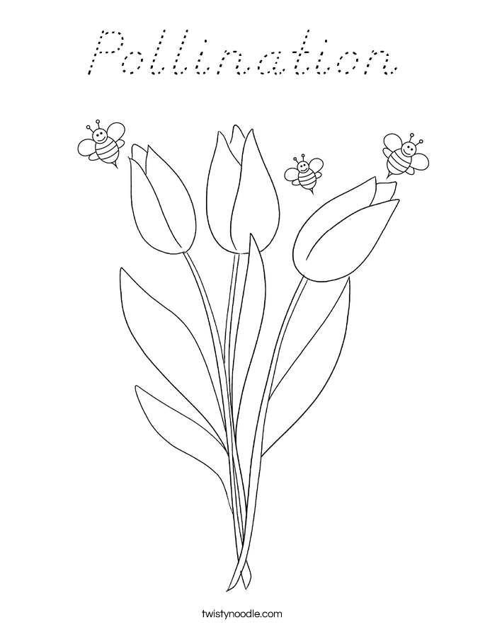 Pollination Coloring Page