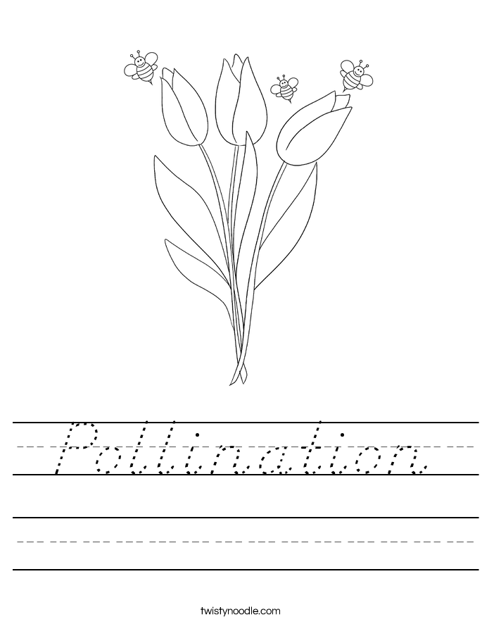 Pollination Worksheet - D'Nealian - Twisty Noodle