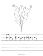 Pollination Handwriting Sheet