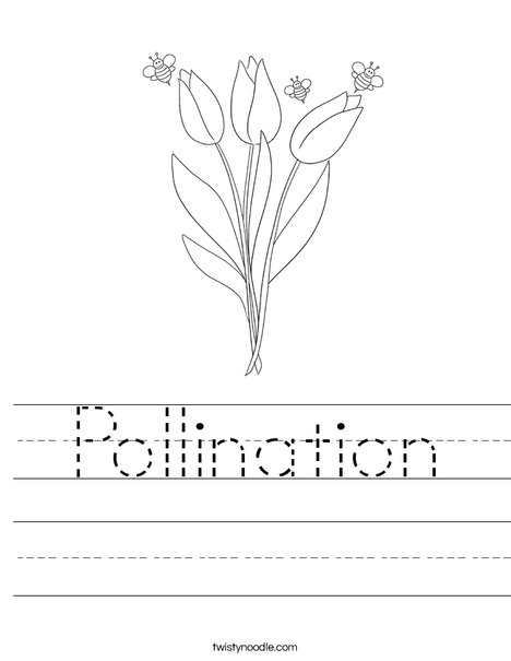 Pollination Worksheet - Twisty Noodle