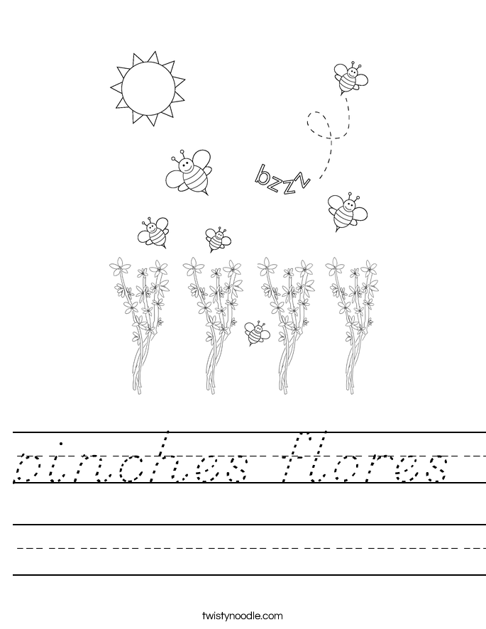 pinches flores Worksheet