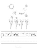 pinches flores Worksheet