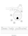 Bees help pollinate! Worksheet