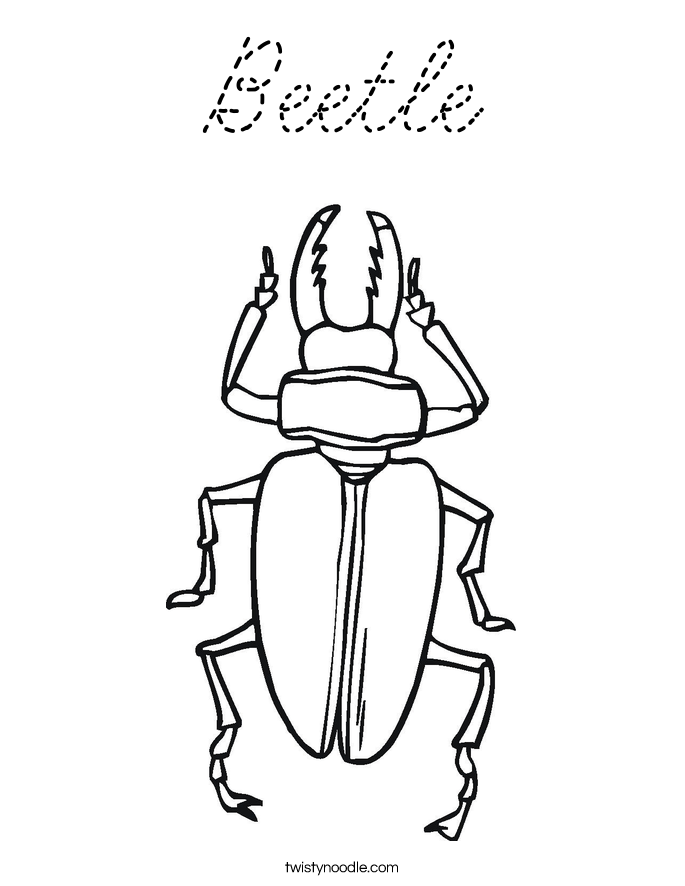  Coloring Page