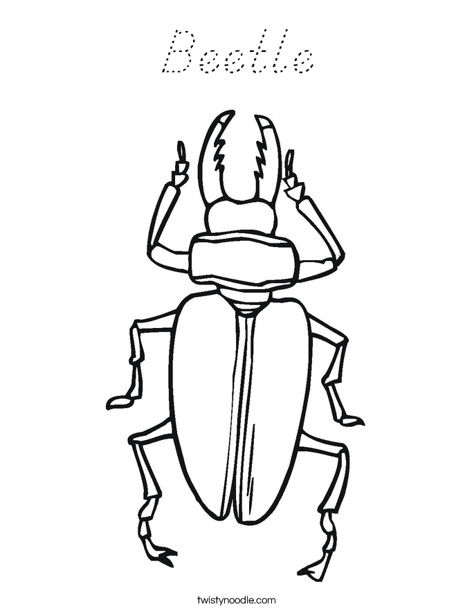 Beetle Coloring Page