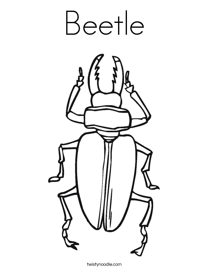 Beetle Coloring Page
