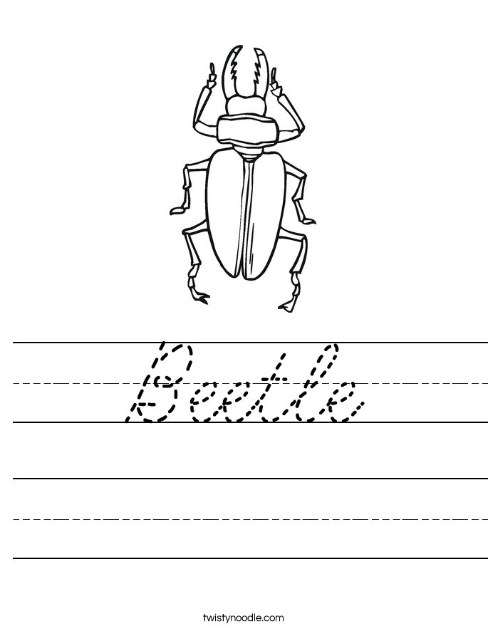 Beetle Worksheet