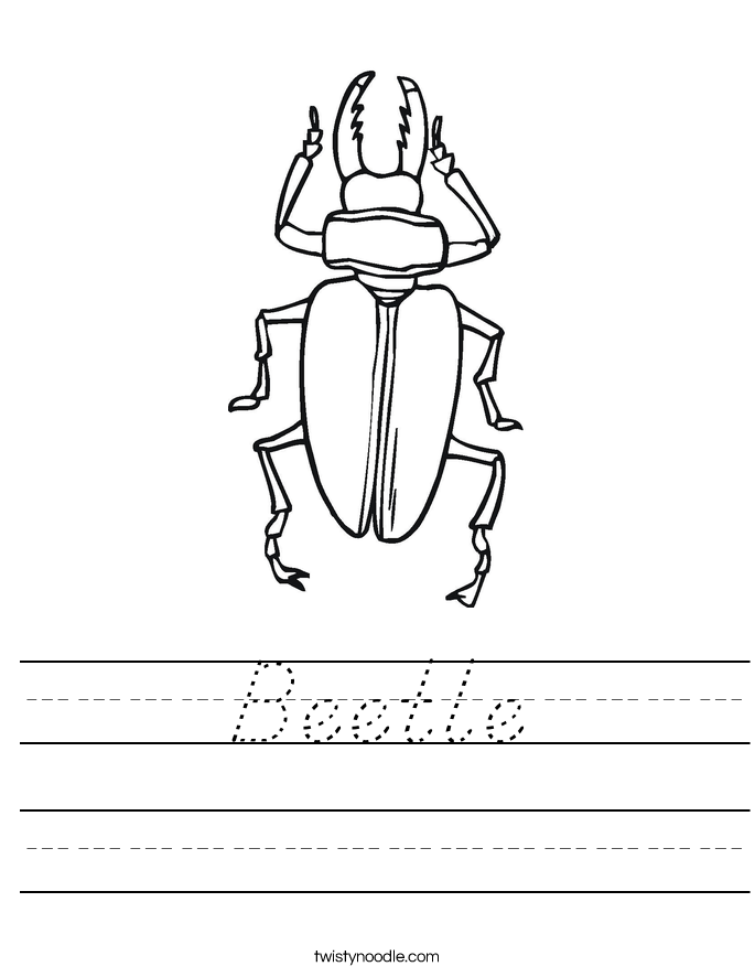Beetle Worksheet