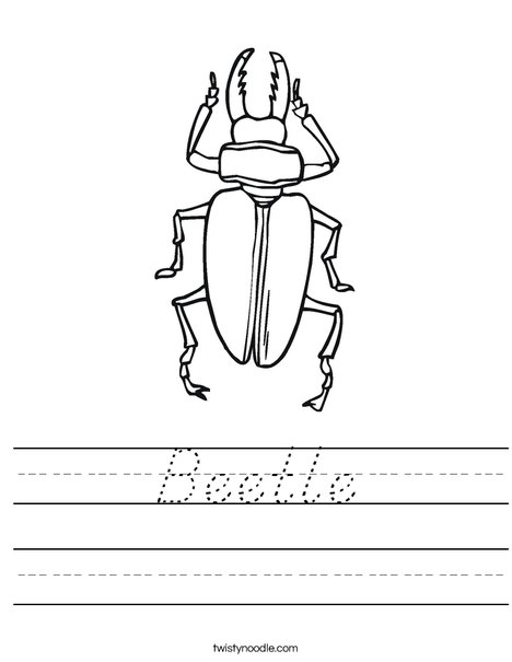 Black Beetle Worksheet