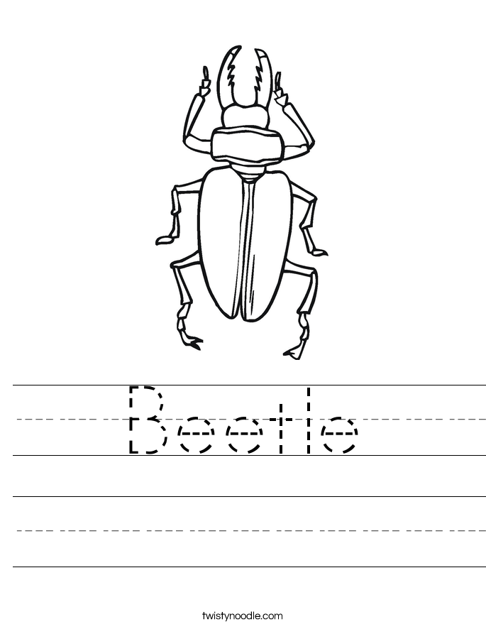 Beetle Worksheet