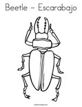 Beetle - EscarabajoColoring Page