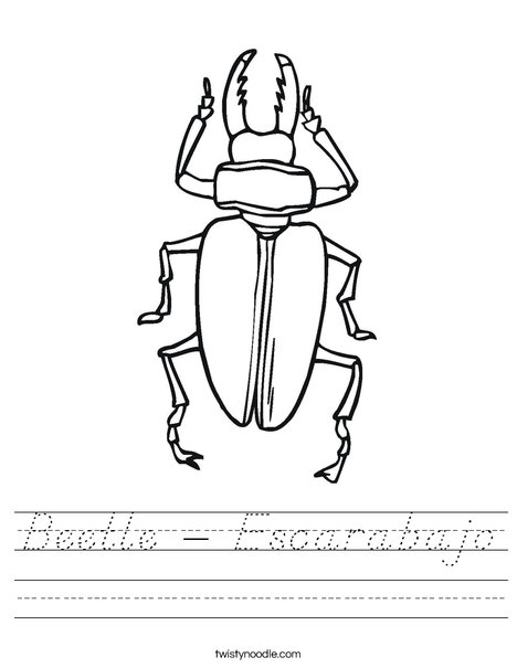 Black Beetle Worksheet