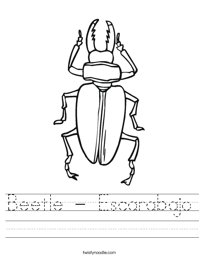 Beetle - Escarabajo Worksheet