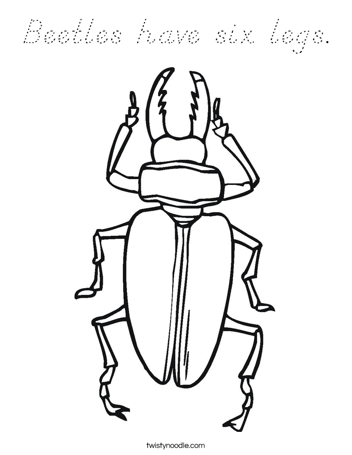 Beetles have six legs. Coloring Page