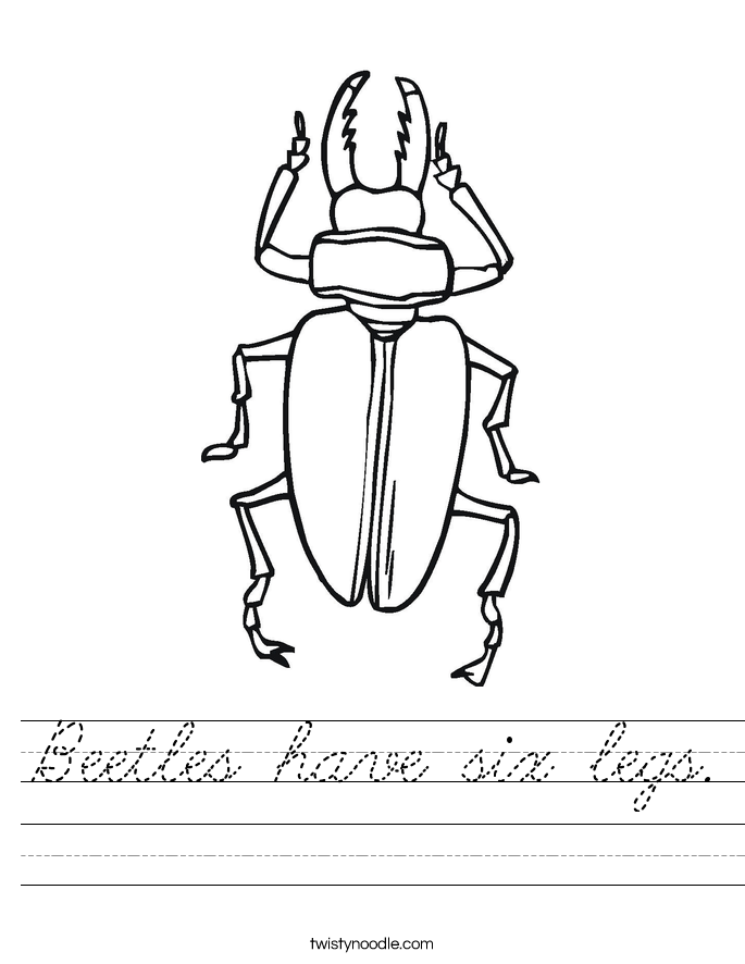 Beetles have six legs. Worksheet