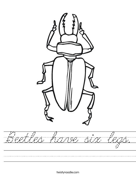 Black Beetle Worksheet