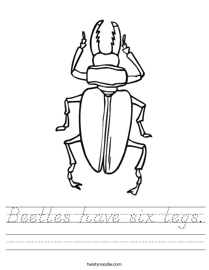 Beetles have six legs. Worksheet