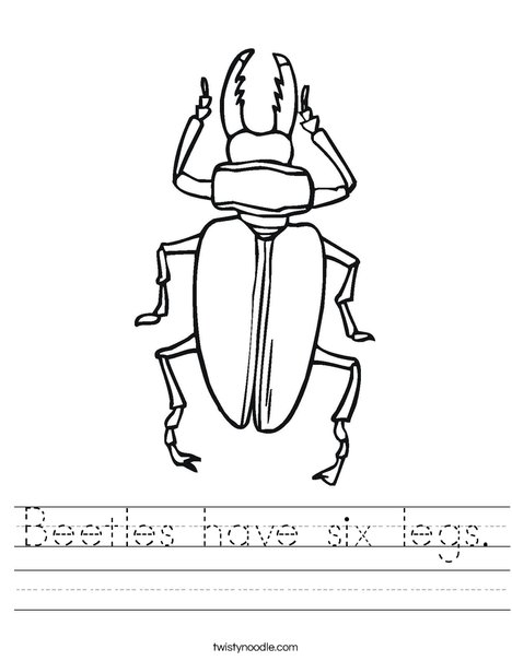 Beetles have six legs Worksheet - Twisty Noodle