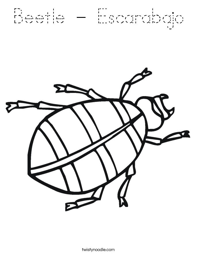 Beetle - Escarabajo Coloring Page