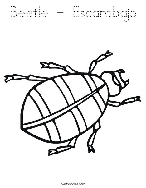 Beetle Coloring Page