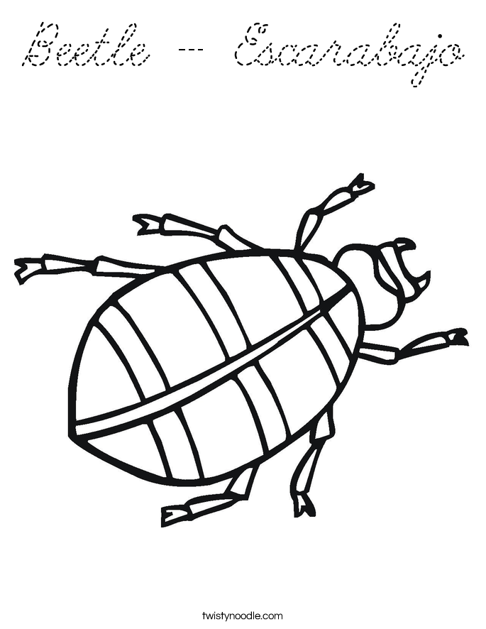  Coloring Page