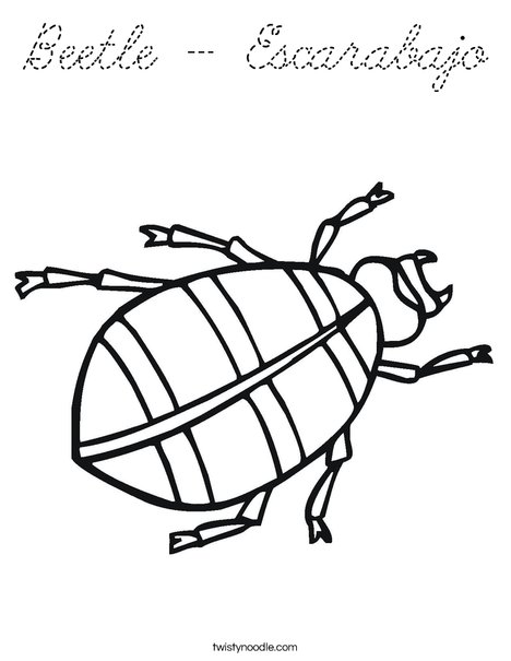 Beetle Coloring Page