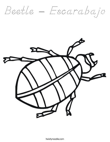 Beetle Coloring Page