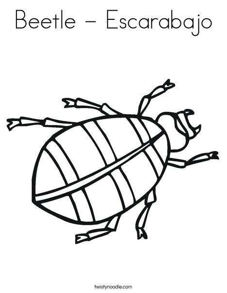 Beetle Coloring Page