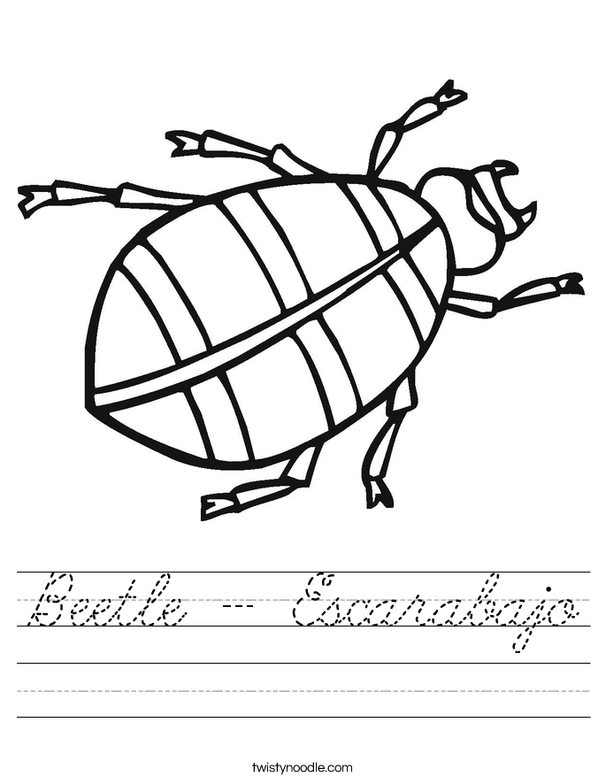 Beetle - Escarabajo Worksheet