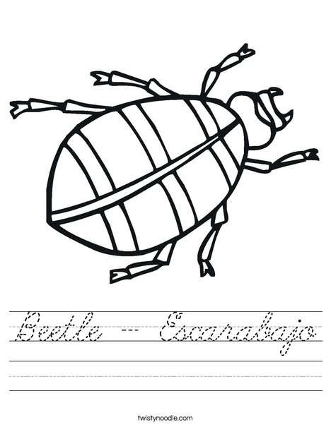 Beetle Worksheet